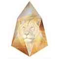 Jungle Testnet logo